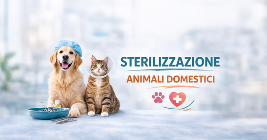 Un'immagine generica segnaposto con angoli arrotondati in una figura.